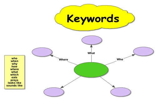 Product picture Top Keywords